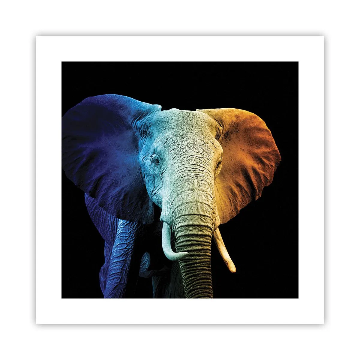 Affiche - Poster - Excentrique, pas bizarre - 40x40 cm