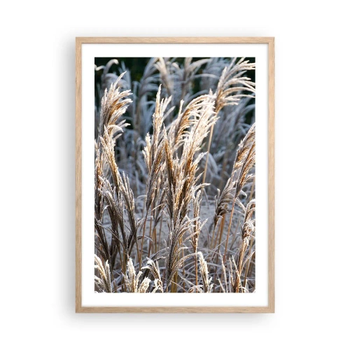 Affiche dans un chêne clair - Poster - Habillé de givre - 50x70 cm
