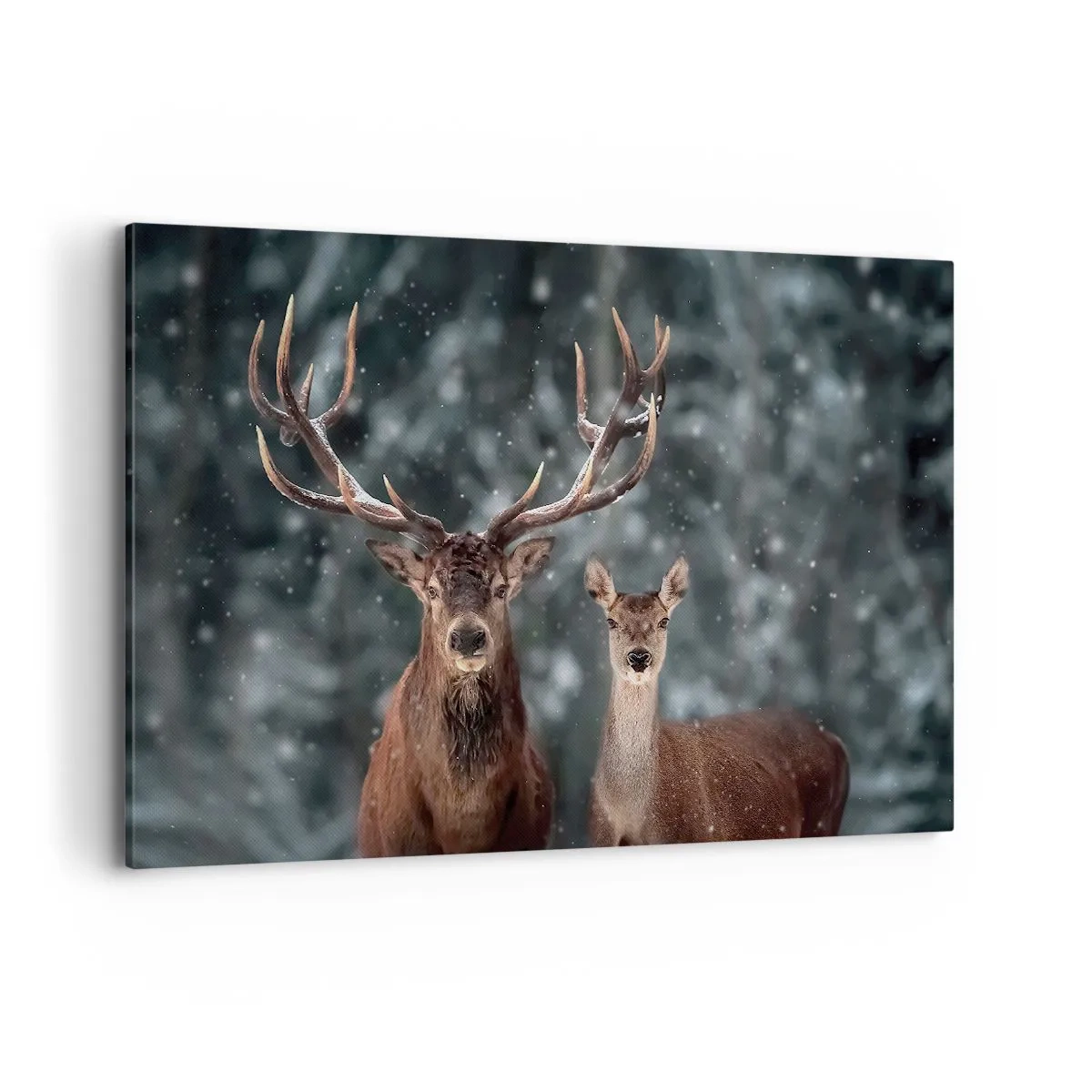 Impression sur toile - Image sur toile - Cerf dans une forêt d'hiver enneigée - 120x80cm - Le roi de la forêt avec sa femme - Décoration murale moderne pour le salon et la chambre ARTTOR
