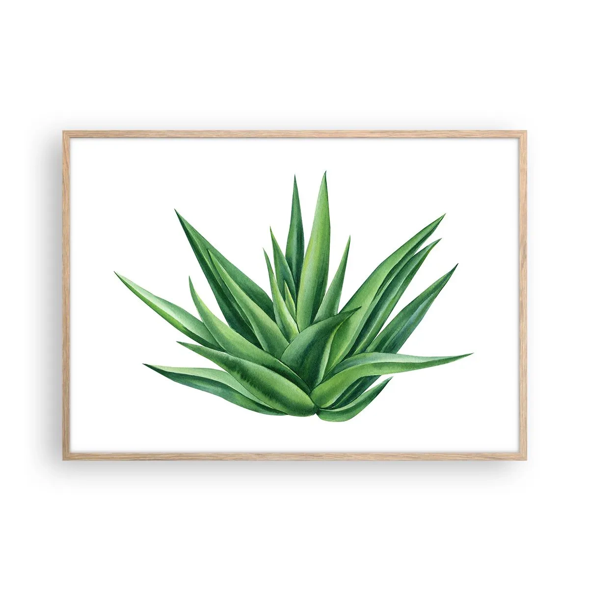 Affiche dans un chêne clair - Poster - Vert – force – vie - 100x70 cm