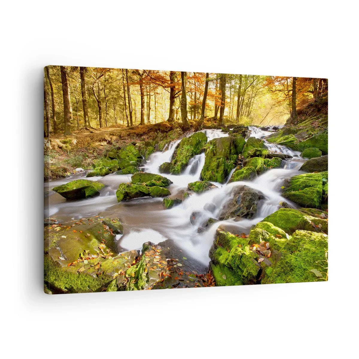 Impression sur toile - Image sur toile - Un paysage boisé avec une cascade entourée de mousse - 70x50cm - Rapidement à travers la forêt d'automne - Décoration murale moderne pour le salon et la chambre ARTTOR