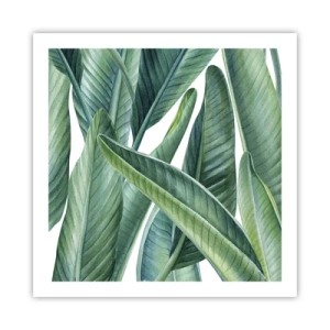 Affiche - Poster - La nature face à elle-même - 60x60 cm