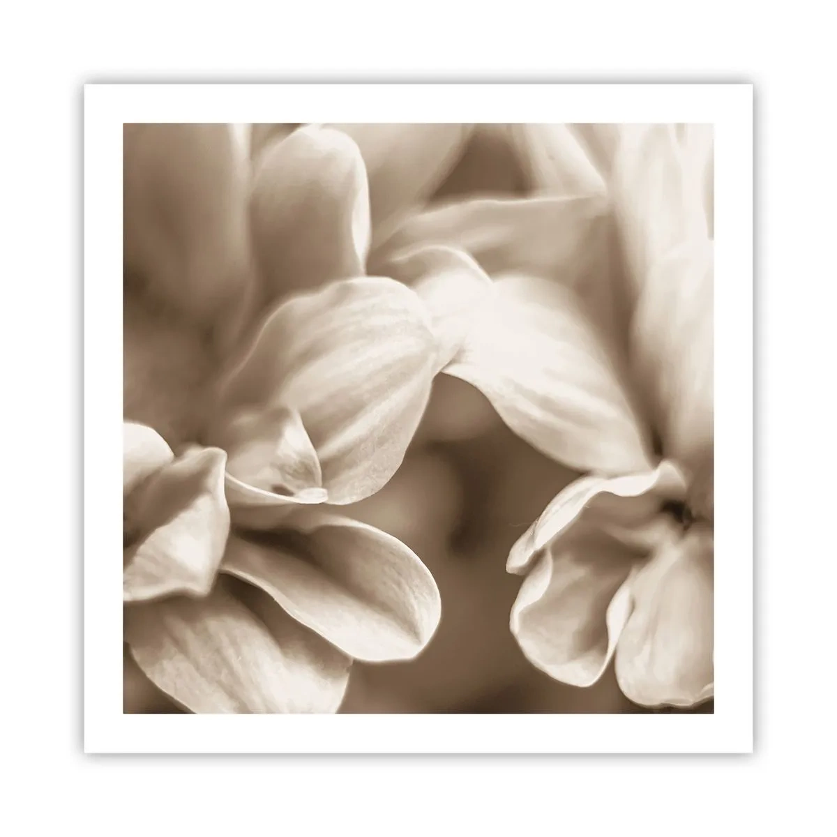 Affiche - Poster - Doux comme un sourire - 60x60 cm