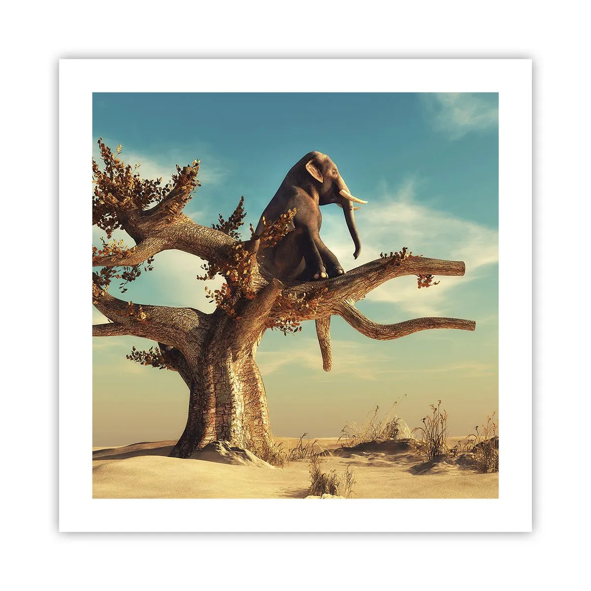 Affiche - Poster - Nouveau point de vue - 50x50 cm