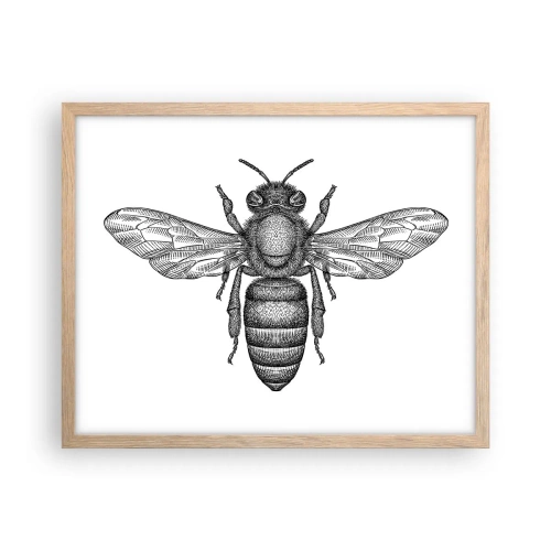 Affiche dans un chêne clair - Poster - Portrait d'insecte - 50x40 cm