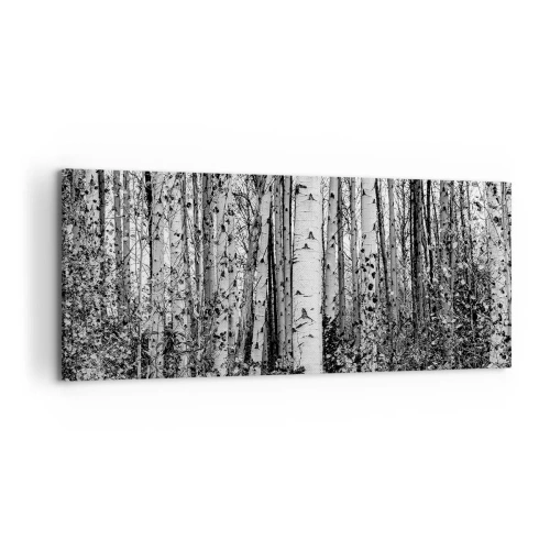 Impression sur toile - Image sur toile - Bouleaux noirs et blancs dans la forêt - 120x50cm - Enchevêtrement de bouleau - Décoration murale moderne pour le salon et la chambre ARTTOR
