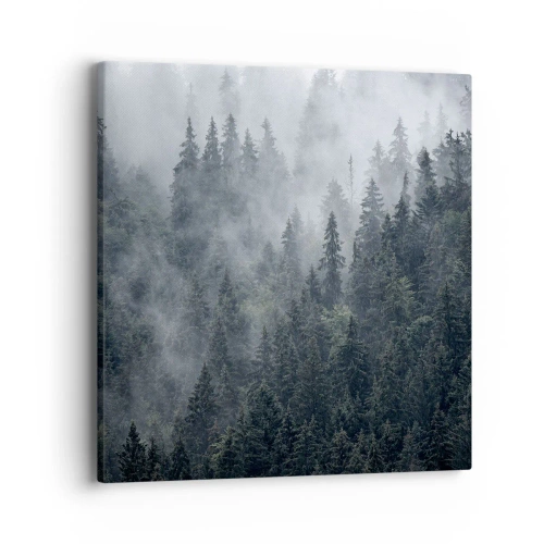 Impression sur toile - Image sur toile - Aube de la forêt - 40x40 cm