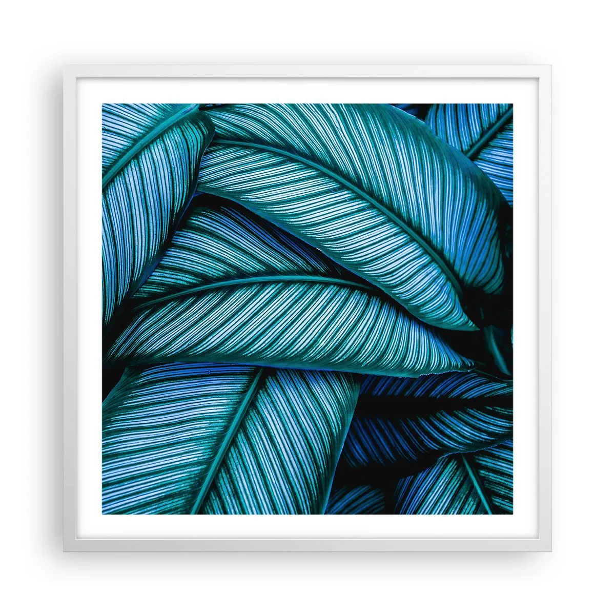 Affiche dans un cadre blanc - Poster - Lignes de vie - 60x60 cm