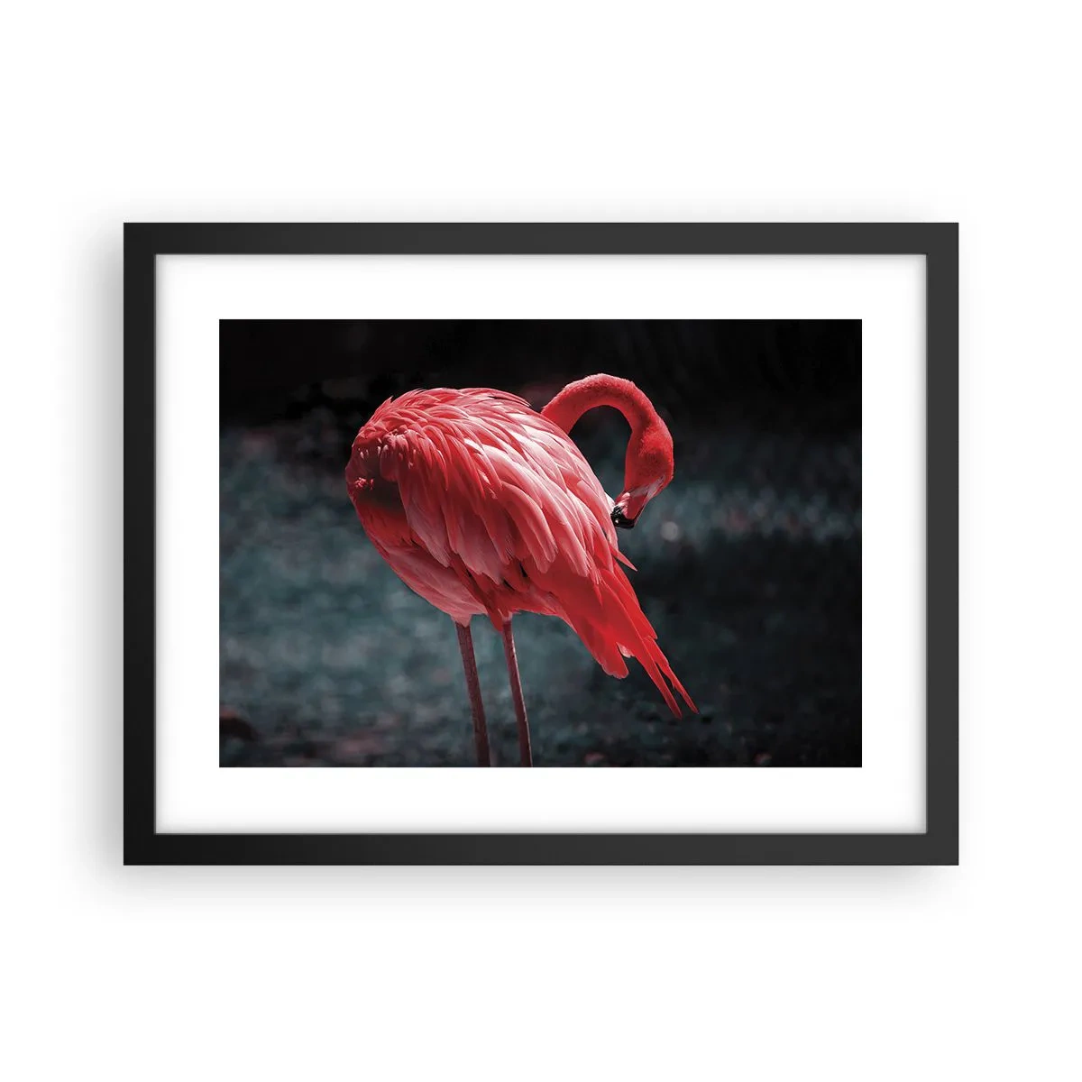 Affiche dans un cadre noir - Poster - Poème cramoisi de la nature - 40x30 cm