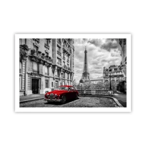 Affiche - Poster - Prédateur dans la ville - 91x61 cm