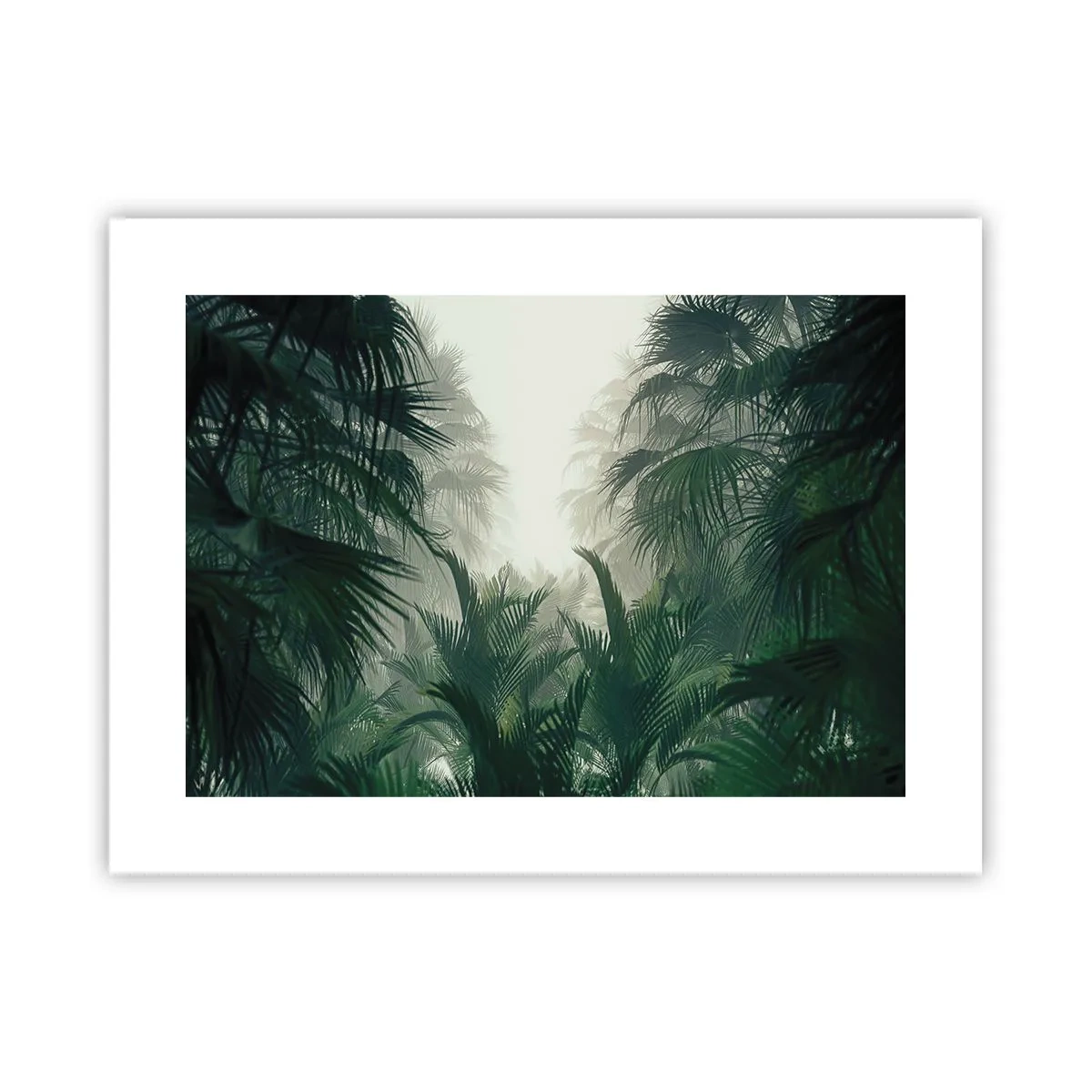Affiche - Poster - Secret tropical - 40x30 cm