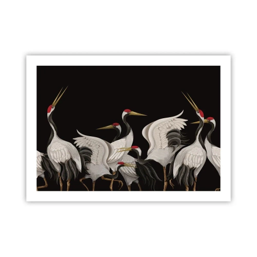 Affiche - Poster - Histoire d'oiseaux - 70x50 cm