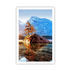 Affiche - Poster - La nature sous un nouveau jour - 61x91 cm