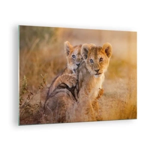 Impression sur verre - Image sur verre - Deux jeunes lionceaux dans un cadre naturel de savane - 70x50cm - Ne pas déranger! On s'amuse - Décoration murale moderne pour le salon et la chambre ARTTOR