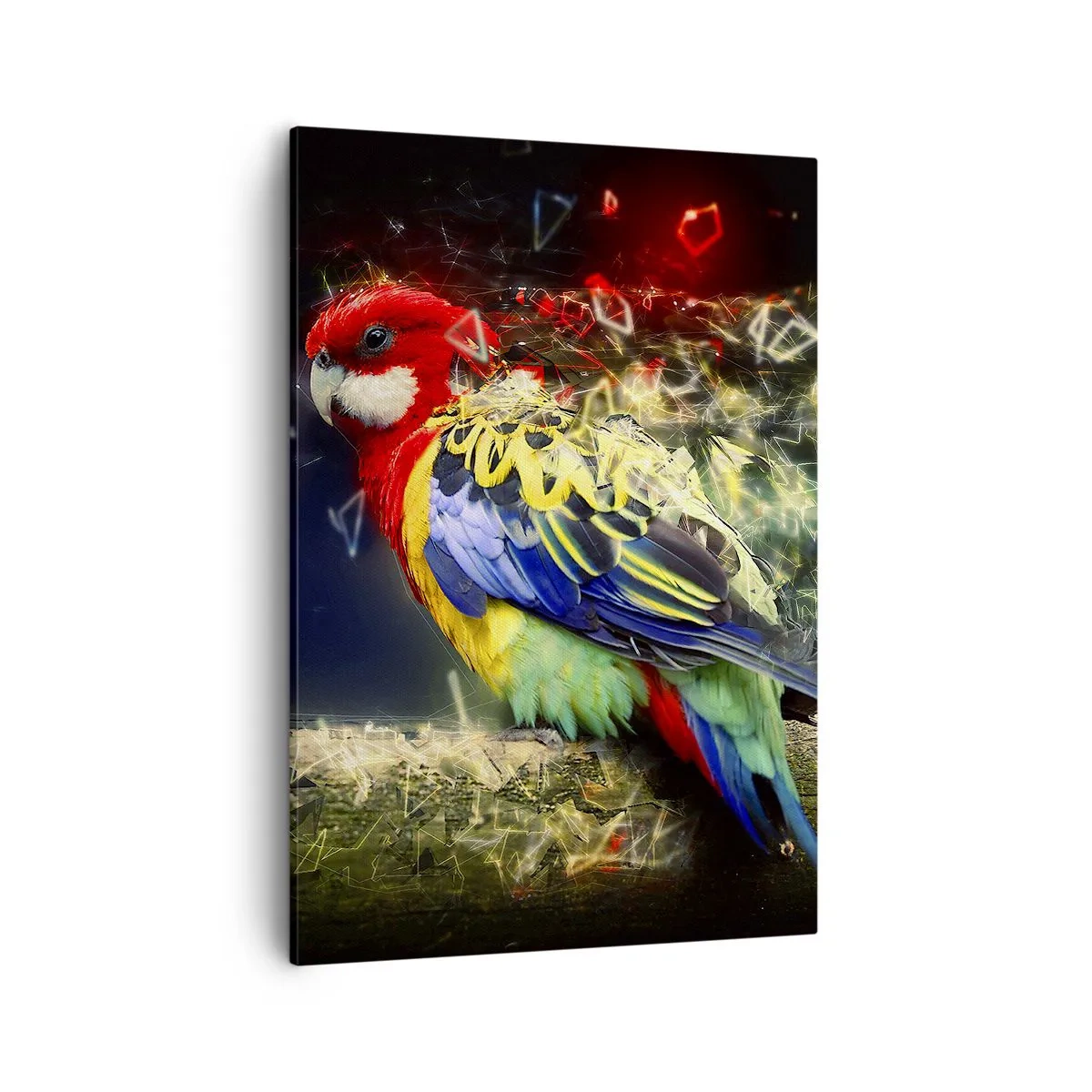 Impression sur toile - Image sur toile - Un perroquet aux couleurs vives sur un fond d'effets de lumière - 50x70cm - Messager d'éclat - Décoration murale moderne pour le salon et la chambre ARTTOR