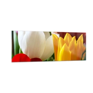 Impression sur verre - Image sur verre - Gros plan de tulipes colorées sur un fond printanier - 140x50cm - La fièvre des tulipes - Décoration murale moderne pour le salon et la chambre ARTTOR