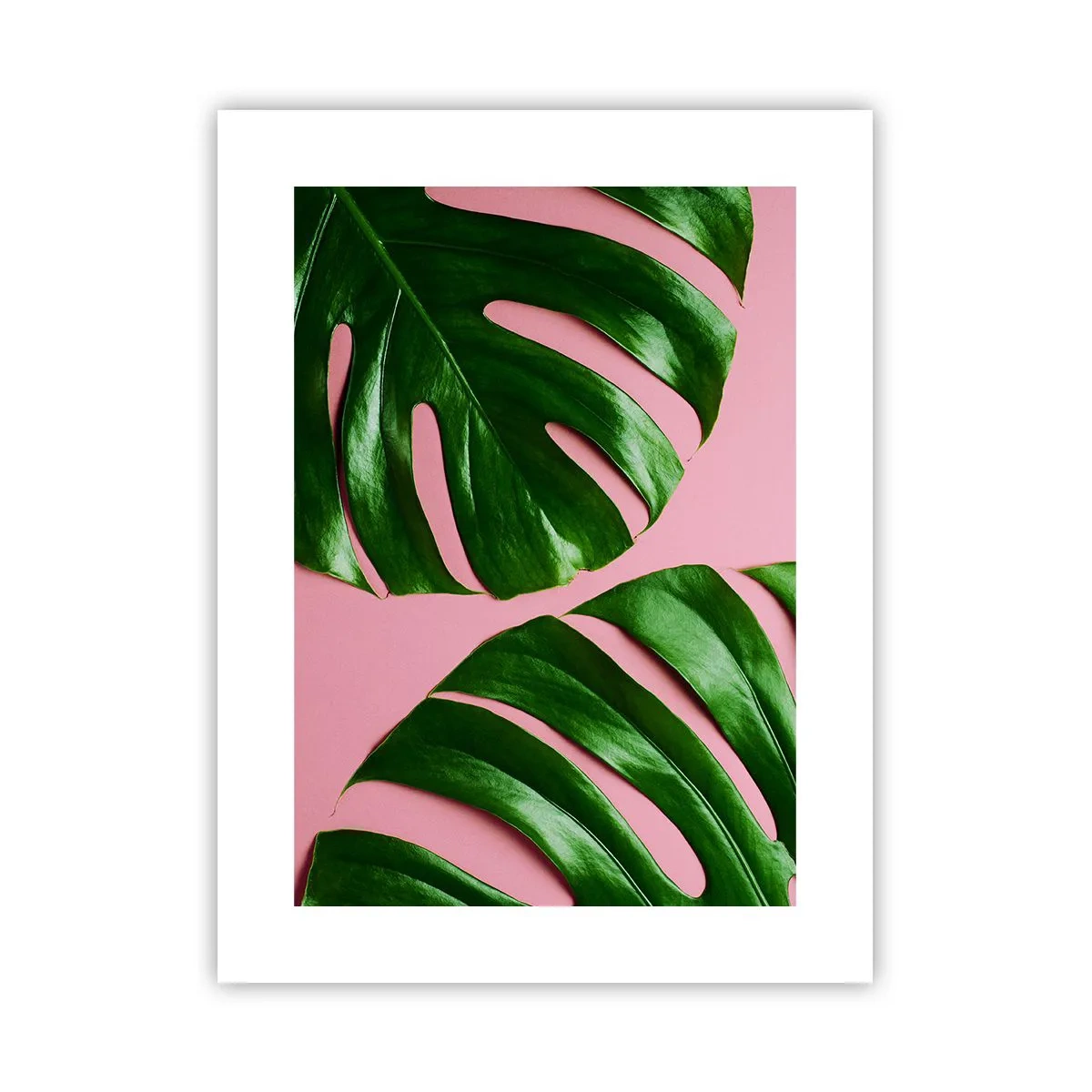 Affiche - Poster - Rendez-vous vert - 30x40 cm