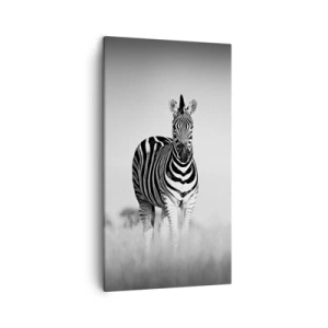 Impression sur toile - Image sur toile - Le monde est bel et bien noir et blanc - 45x80 cm