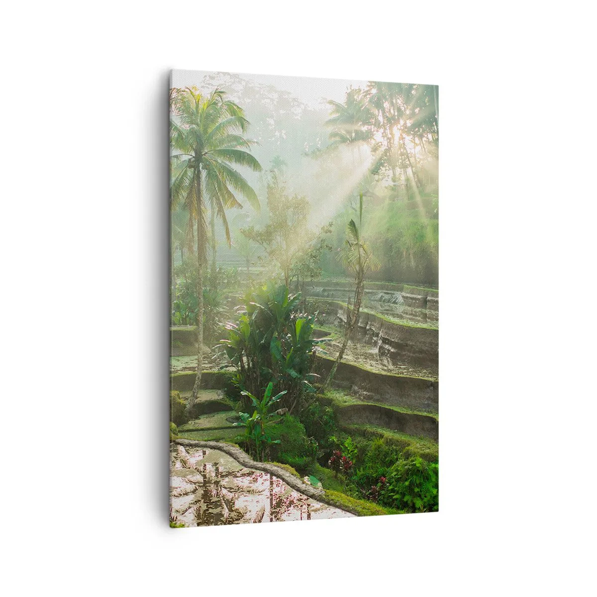 Impression sur toile - Image sur toile - Rizières en terrasses avec palmiers sous les rayons du soleil - 80x120cm - Grandir au soleil - Décoration murale moderne pour le salon et la chambre ARTTOR