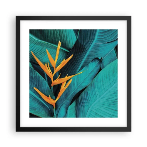 Affiche dans un cadre noir - Poster - Fleur d'Eden - 40x40 cm