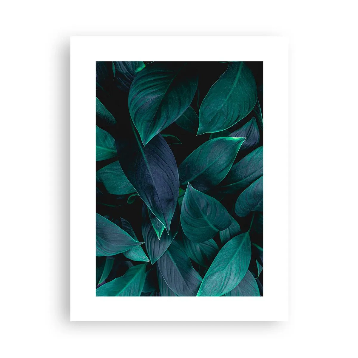 Affiche - Poster - le vert lui-même - 30x40 cm