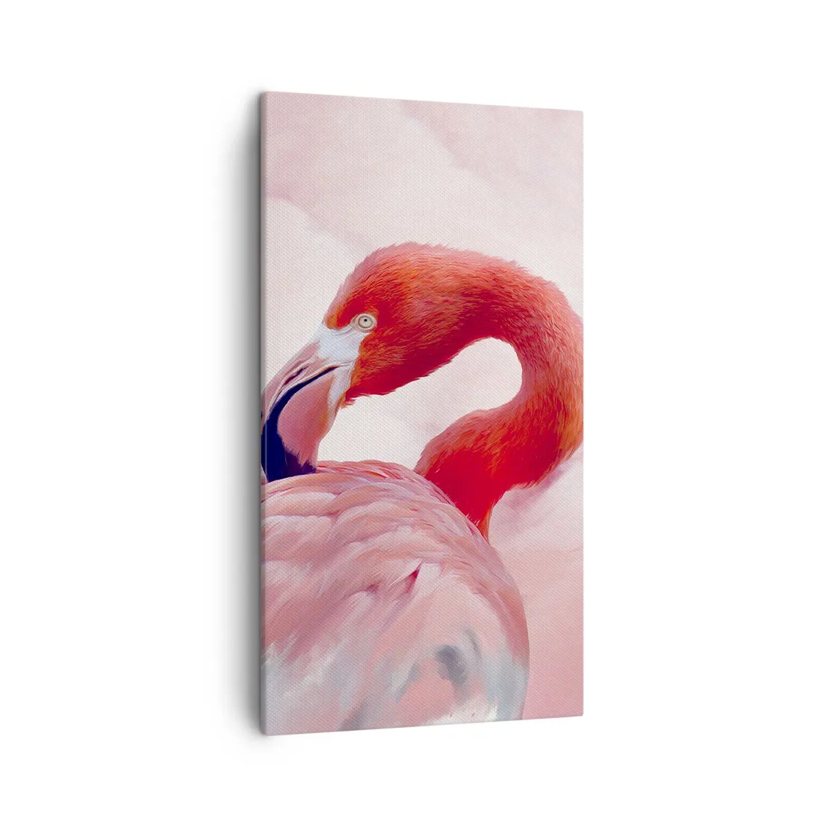 Impression sur toile - Image sur toile - Beauté des oiseaux - 45x80 cm