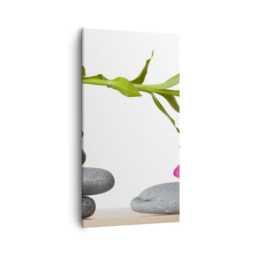 Impression sur toile - Image sur toile - Couleurs de la vie et de la durée - 55x100 cm