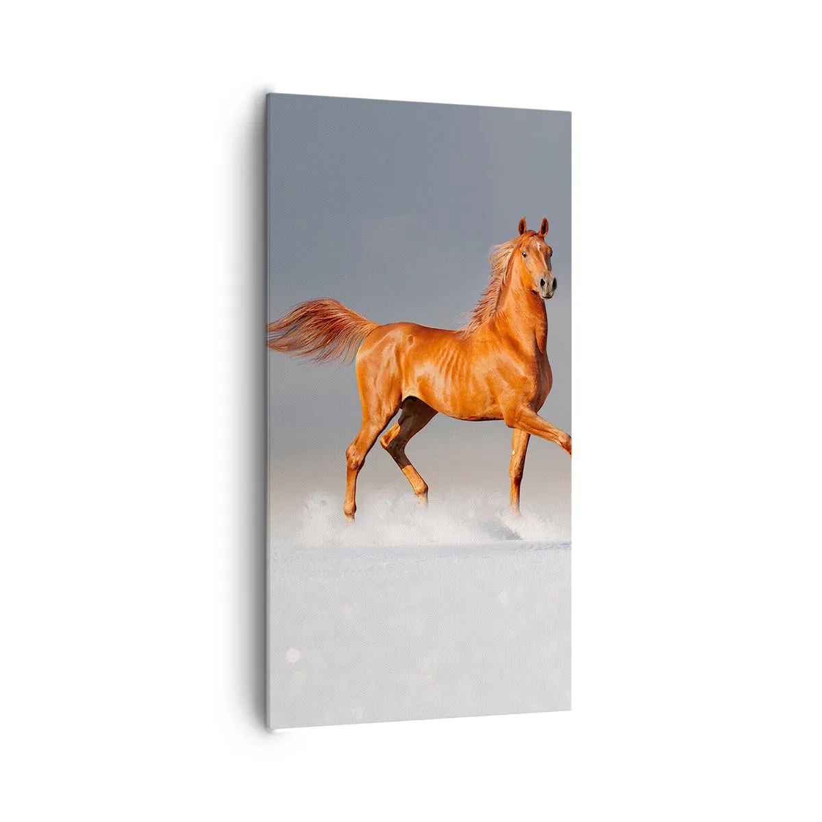 Impression sur toile - Image sur toile - La grâce dansante - 65x120 cm