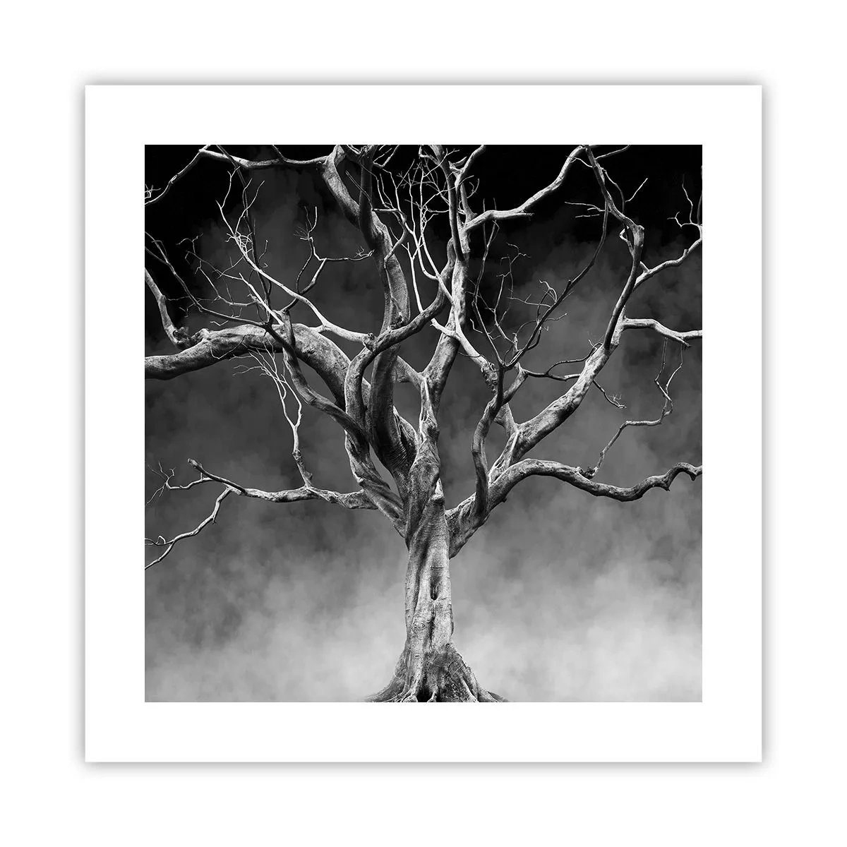Affiche - Poster - Primordial et sacré - 40x40 cm