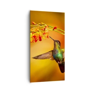 Impression sur toile - Image sur toile - Un messager de lumière selon les Mayas - 65x120 cm