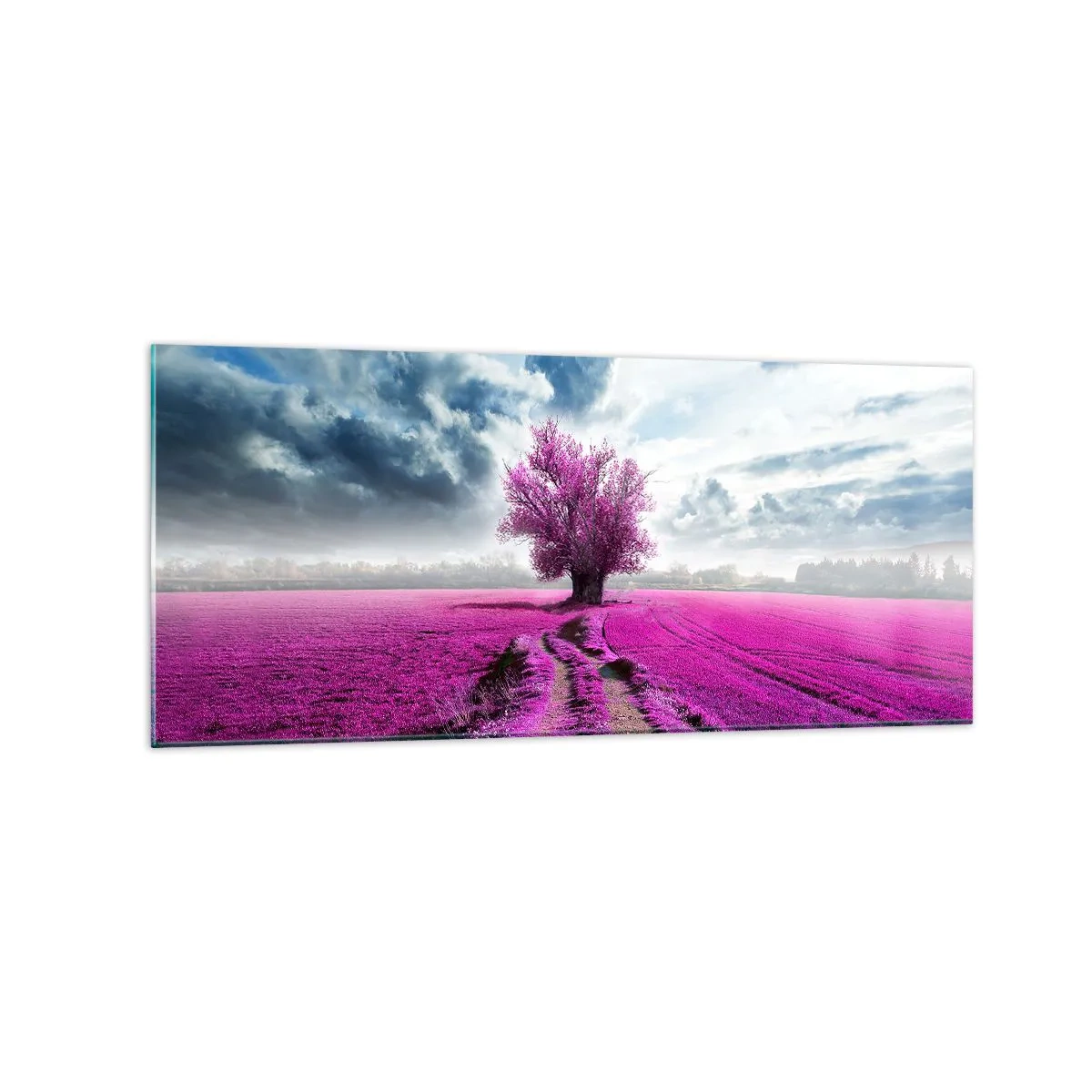 Impression sur verre - Image sur verre - Un arbre solitaire dans un champ dans une nuance de rose intense - 120x50cm - Lande - nature sauvage - Décoration murale moderne pour le salon et la chambre ARTTOR