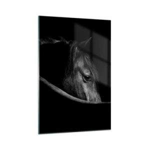 Impression sur verre - Image sur verre - Portrait en noir et blanc d'un cheval avec un jeu subtil de lumière et d'ombre sur un fond sombre. - 70x100cm - Prince Noir - Décoration murale moderne pour le salon et la chambre ARTTOR