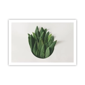 Affiche - Poster - Curiosité sans retenue - 91x61 cm