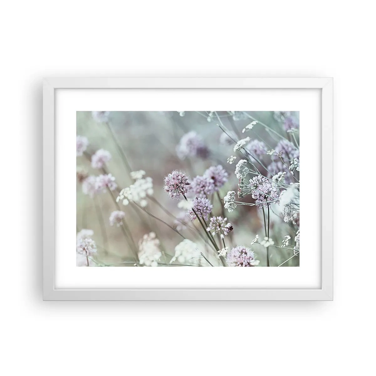 Affiche dans un cadre blanc - Poster - Herbes douces en filigrane - 40x30 cm
