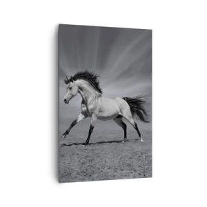 Impression sur toile - Image sur toile - Un cheval noir et blanc dans une pose dynamique dans le désert. - 80x120cm - Né pour séduire - Décoration murale moderne pour le salon et la chambre ARTTOR