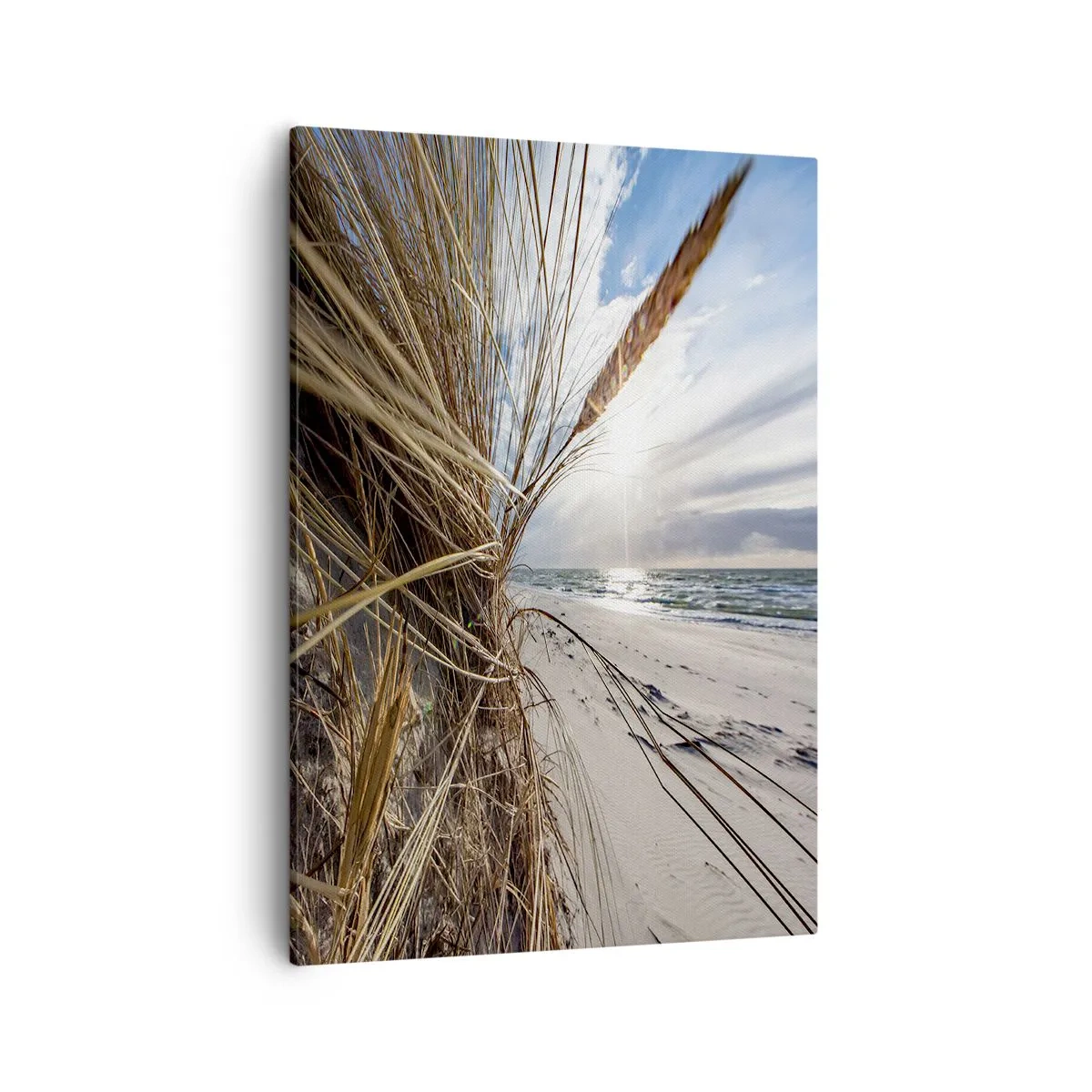 Impression sur toile - Image sur toile - Une plage avec de l'herbe sèche sur les dunes et une vue sur la mer - 50x70cm - Rencontre des éléments - Décoration murale moderne pour le salon et la chambre ARTTOR