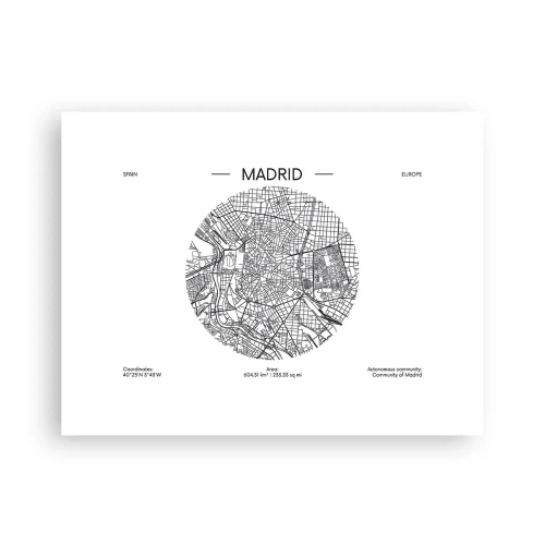 Affiche - Poster - Anatomie de Madrid - 40x30 cm