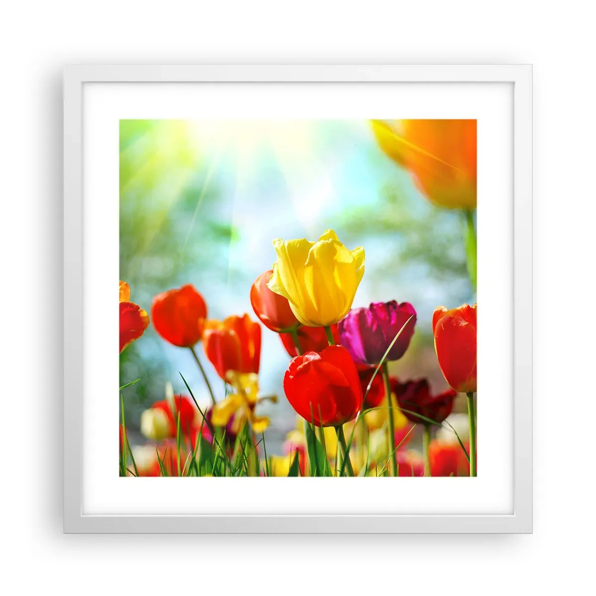 Affiche dans un cadre blanc - Poster - Toutes les couleurs du soleil - 40x40 cm