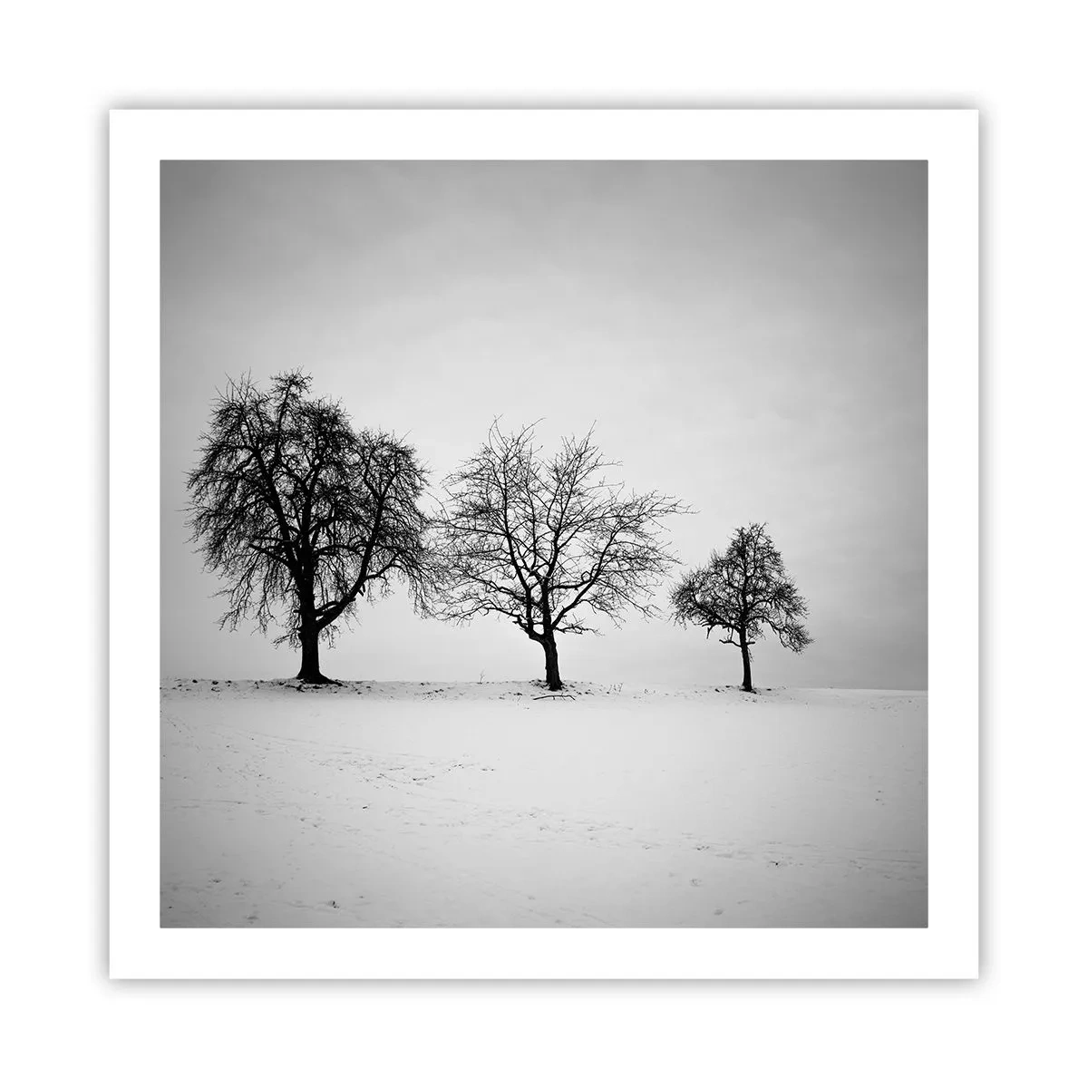 Affiche - Poster - A quoi rêvent-ils? - 60x60 cm