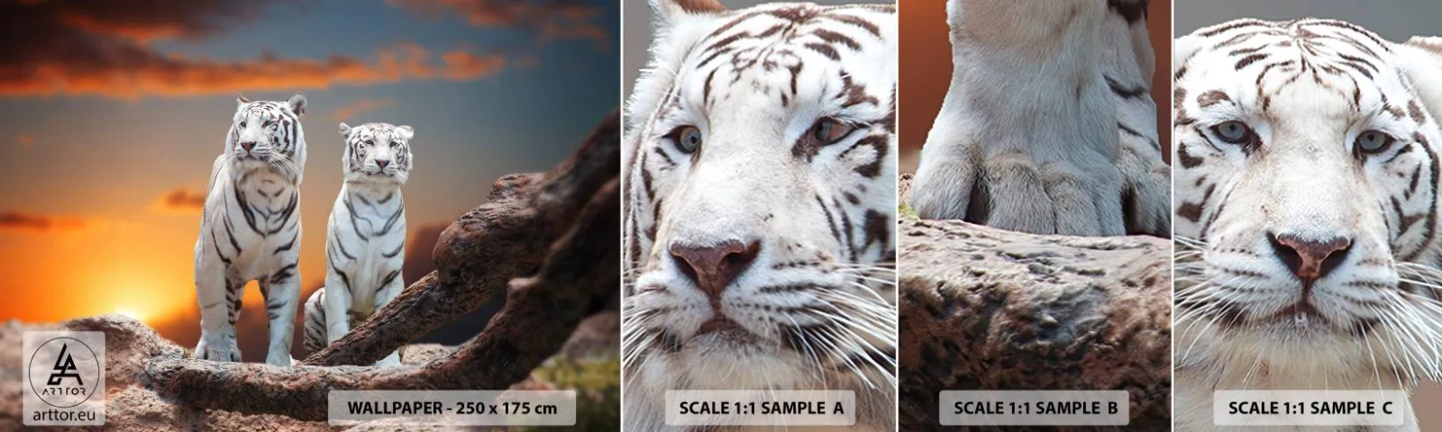 Échantillon De Papier Peint Standard Eco - Tout comme à Narnia - Animaux, Tigre, Coucher de soleil - 100x30 cm