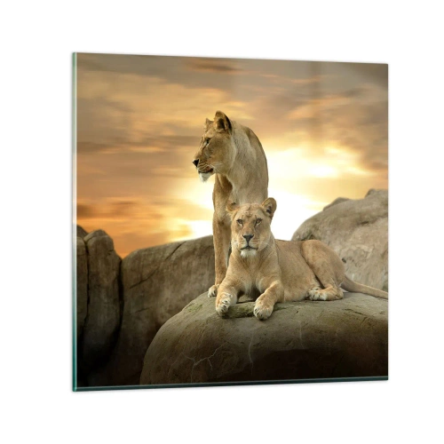 Impression sur verre - Image sur verre - Majesté royale - 30x30 cm