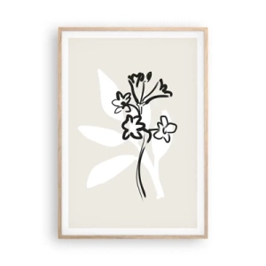 Affiche dans un chêne clair - Poster - Esquisse pour l'herbier - 70x100 cm