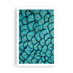 Affiche - Poster - Le grand gala des plumes - 61x91 cm