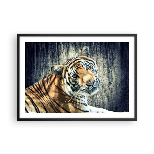 Affiche dans un cadre noir - Poster - Un tigre couché contre un mur à la texture rugueuse - 70x50cm - Portrait dans les flots de lumière - Décoration murale moderne pour le salon et la chambre ARTTOR