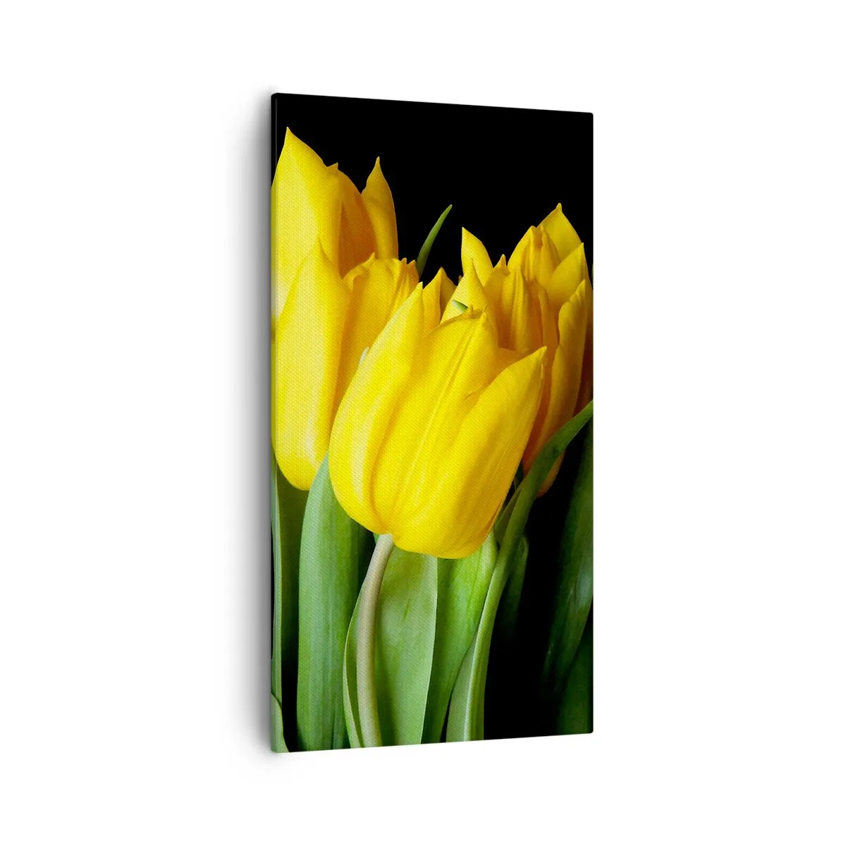 Impression sur toile - Image sur toile - Lever de soleil pur - 55x100 cm