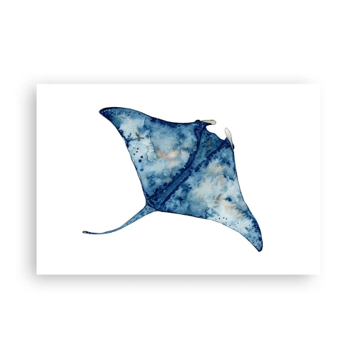 Affiche - Poster - La vie en bleu - 91x61 cm