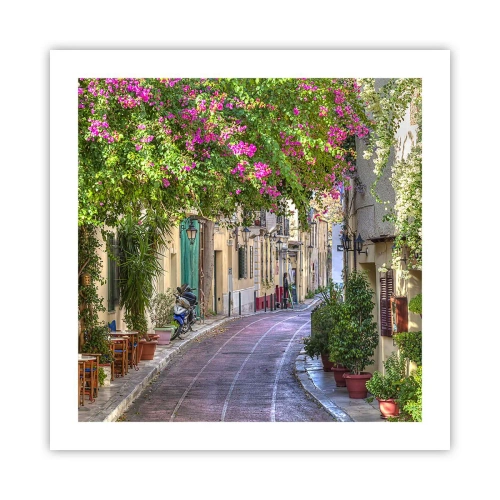 Affiche - Poster - Allée fleurie - 50x50 cm