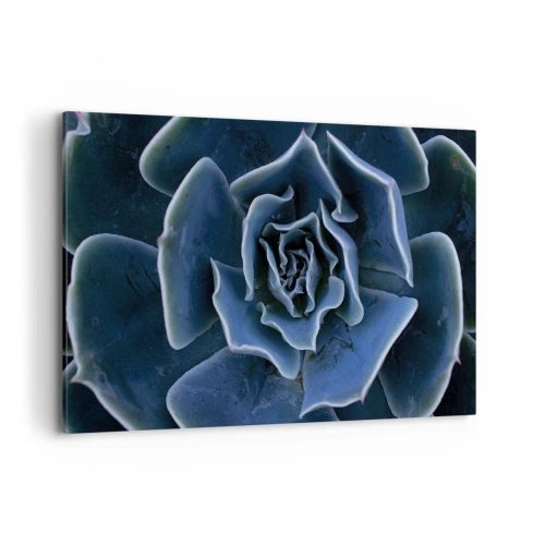 Impression sur toile - Image sur toile - Gros plan d'une rosette succulente verte - 100x70cm - Fleur du désert - Décoration murale moderne pour le salon et la chambre ARTTOR