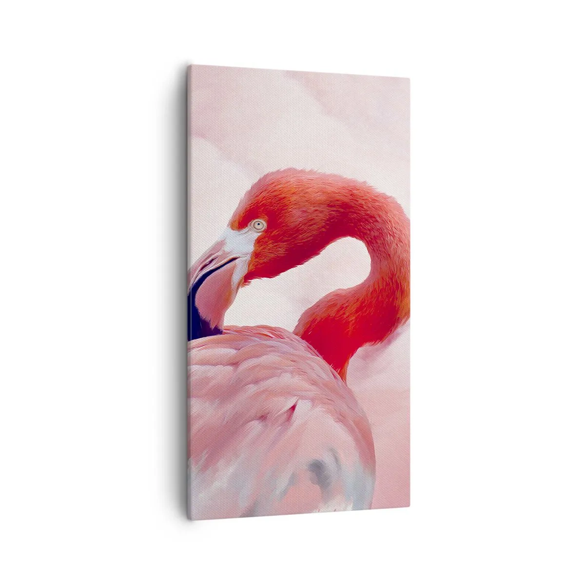 Impression sur toile - Image sur toile - Beauté des oiseaux - 55x100 cm