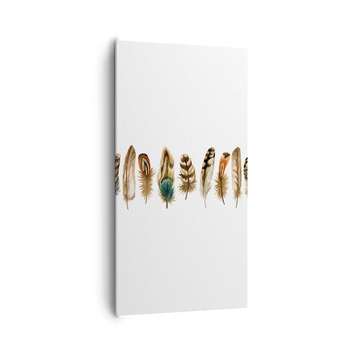 Impression sur toile - Image sur toile - Variation à plumes - 65x120 cm